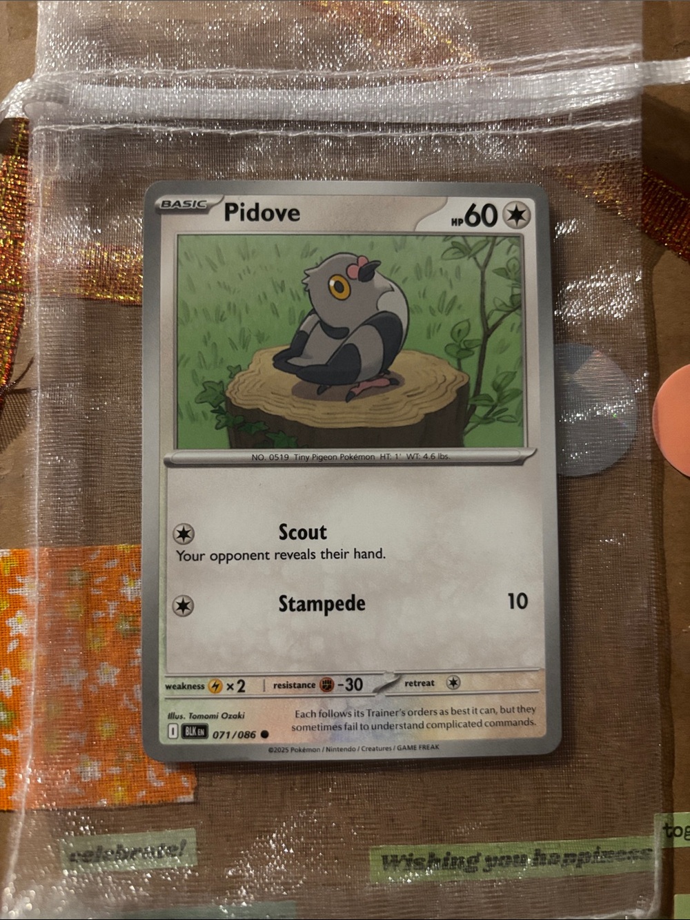 Pidove Trading Card – Gray and White